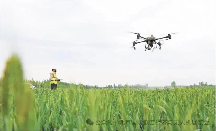 微信图片_2025-12-20_133142_413.jpg 微信图片_2025-12-20_133142_413.jpg